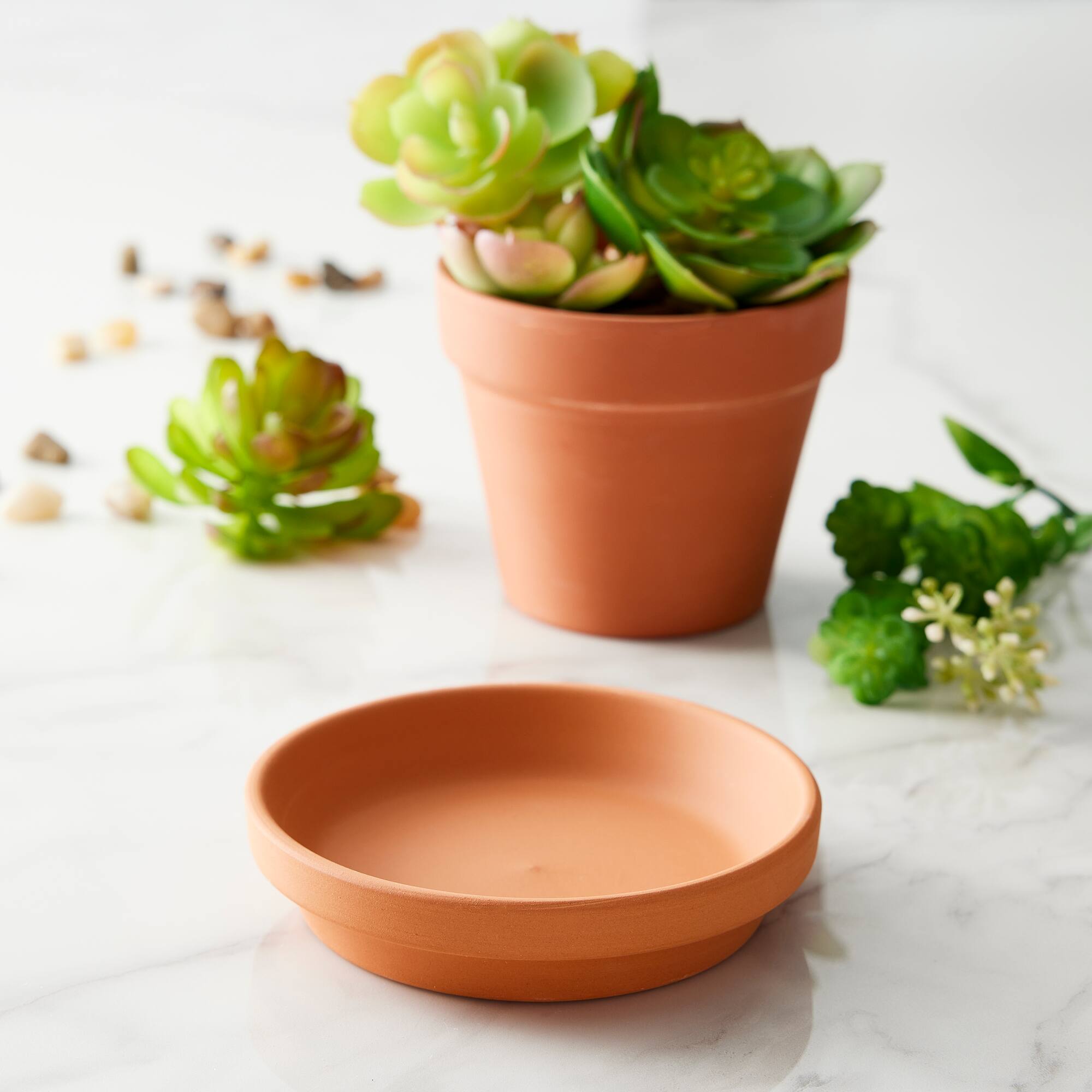 36 Pack: 4" Clay Saucer by Ashland®